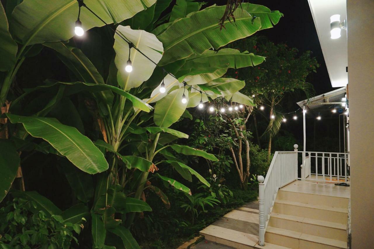 Longan Homestay 호이안 외부 사진