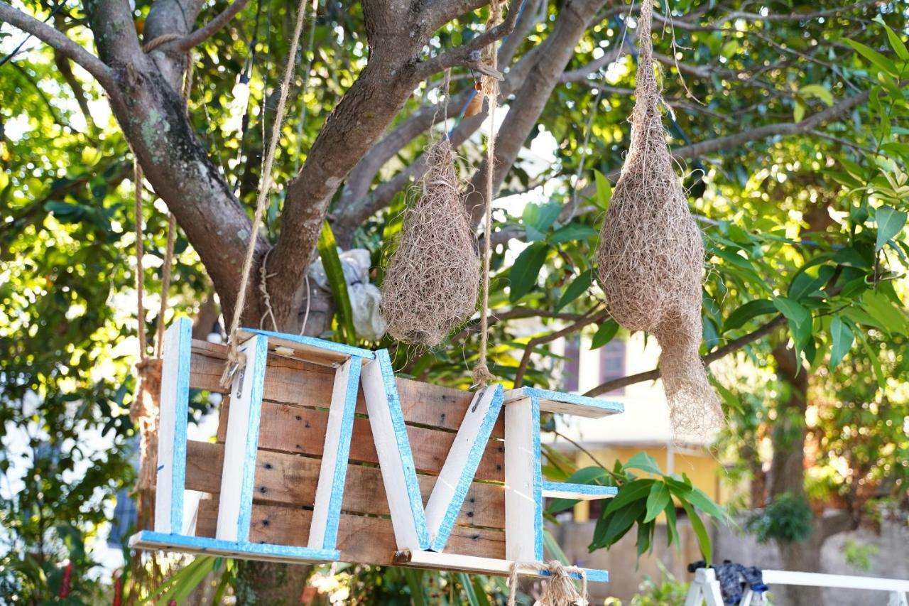 Longan Homestay 호이안 외부 사진